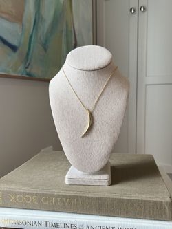 Crescent Moon Pendant Necklace ( firm on price )