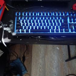 Steelseries Light Up Gaming Keyboard And Logitech Wireless Gaming Mouse 