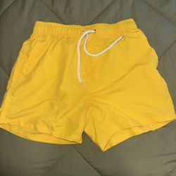 Beach/Pool Shorts XS