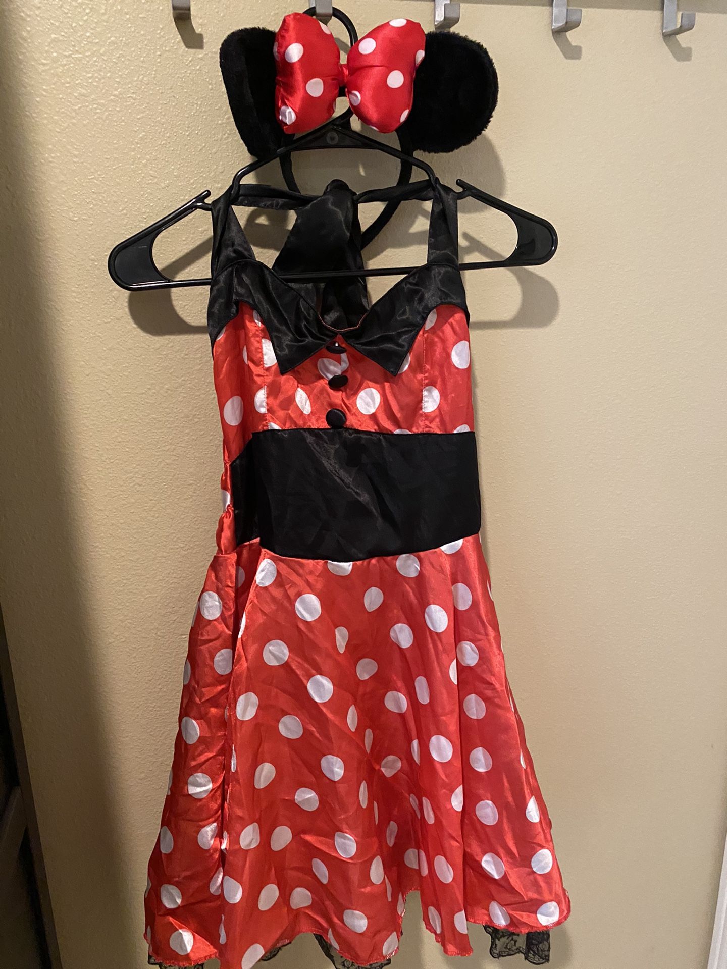 Minnie Mouse Costume - size small/medium