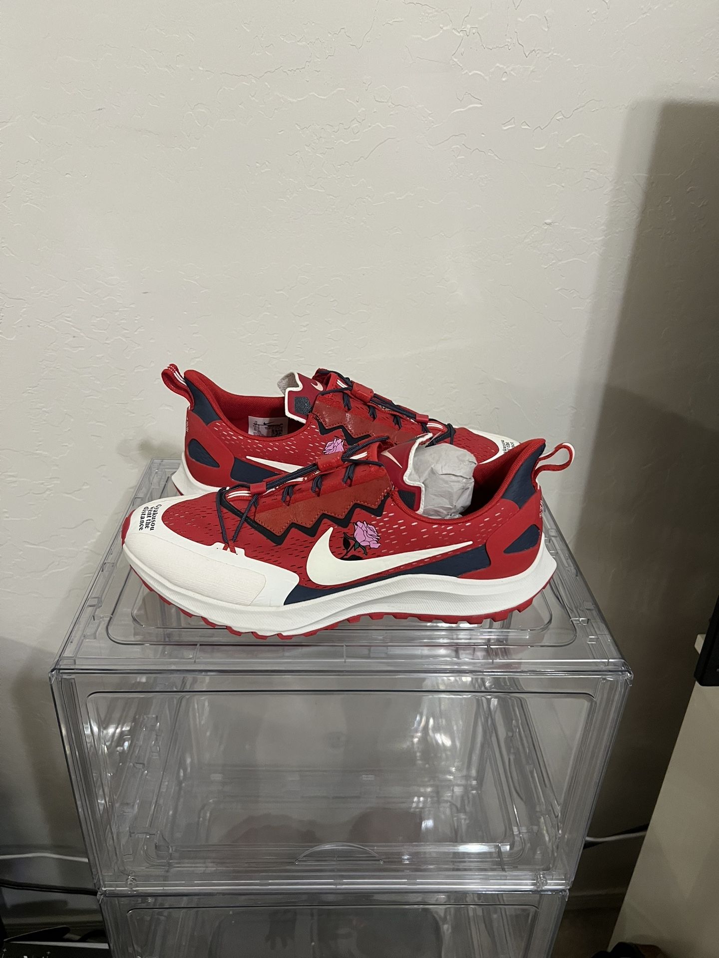 Nike Air Zoom Pegasus 36 Trail. Size 11