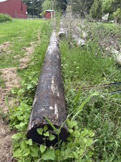 Telephone Poles