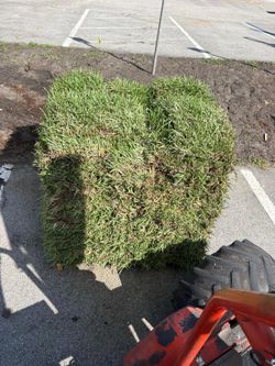 Home Grown Sod