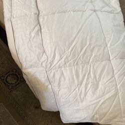 Royal Hotel Collection Dobby Down Alternative Co  King /calling Size 100%egyptian