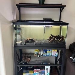 40 gallon freshwater tank with stand and amenities