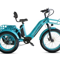 LLAMA Trike CT10 Fat Tire Electric Cargo Trike(Fully Assembled)