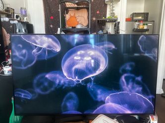 55” LG TV