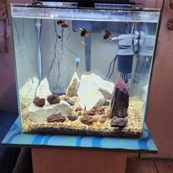 35 gallon aquarium this cube