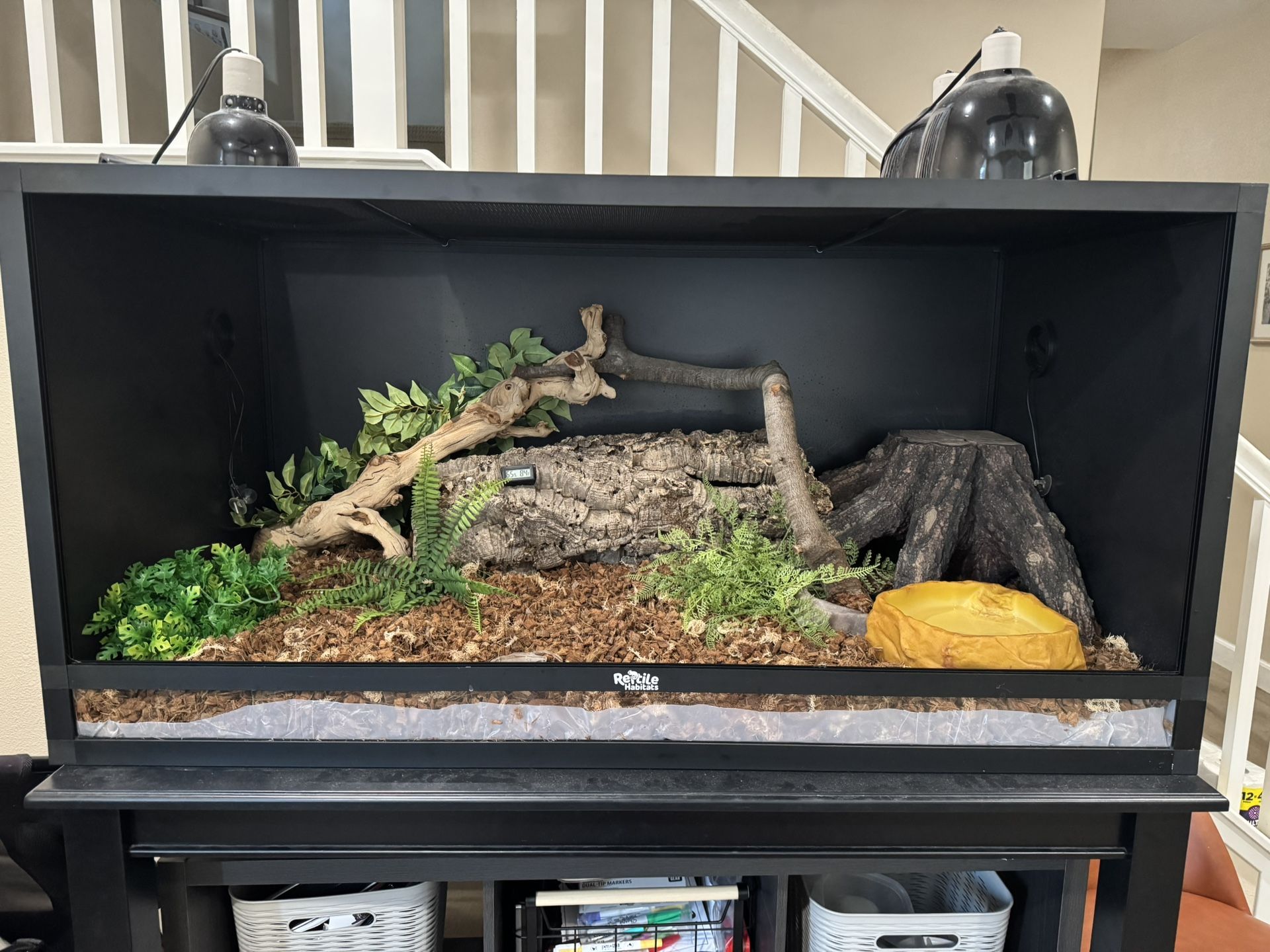 Suriname Red Tail Boa Enclosure