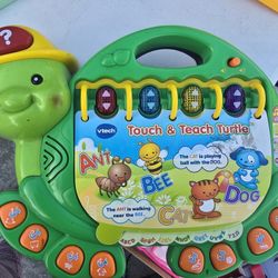 Teach & Touch Turtle
