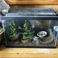 Pet Tank