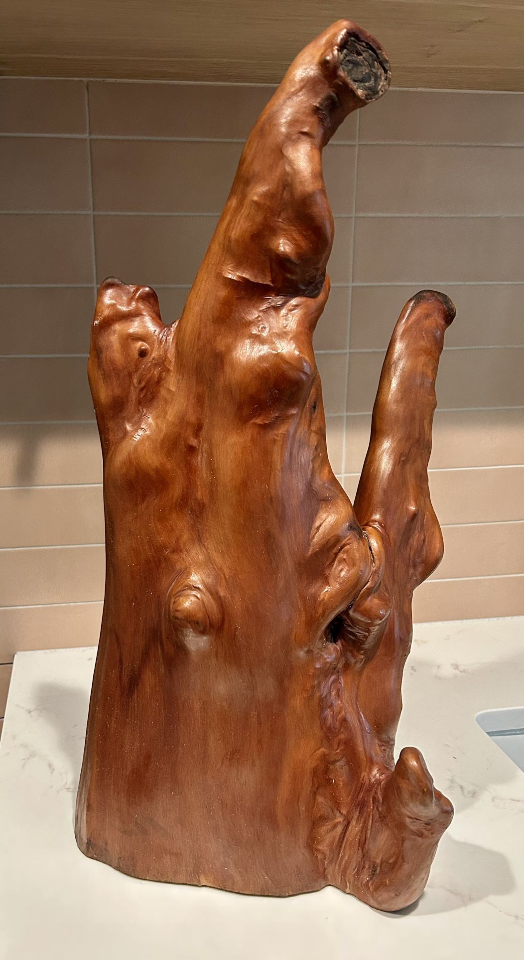 Vintage Mid Century Modern Cypress Knee Root Wood ~23" Carving Sculpture Decor