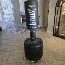 Everlast power core stationary bag, on wheels