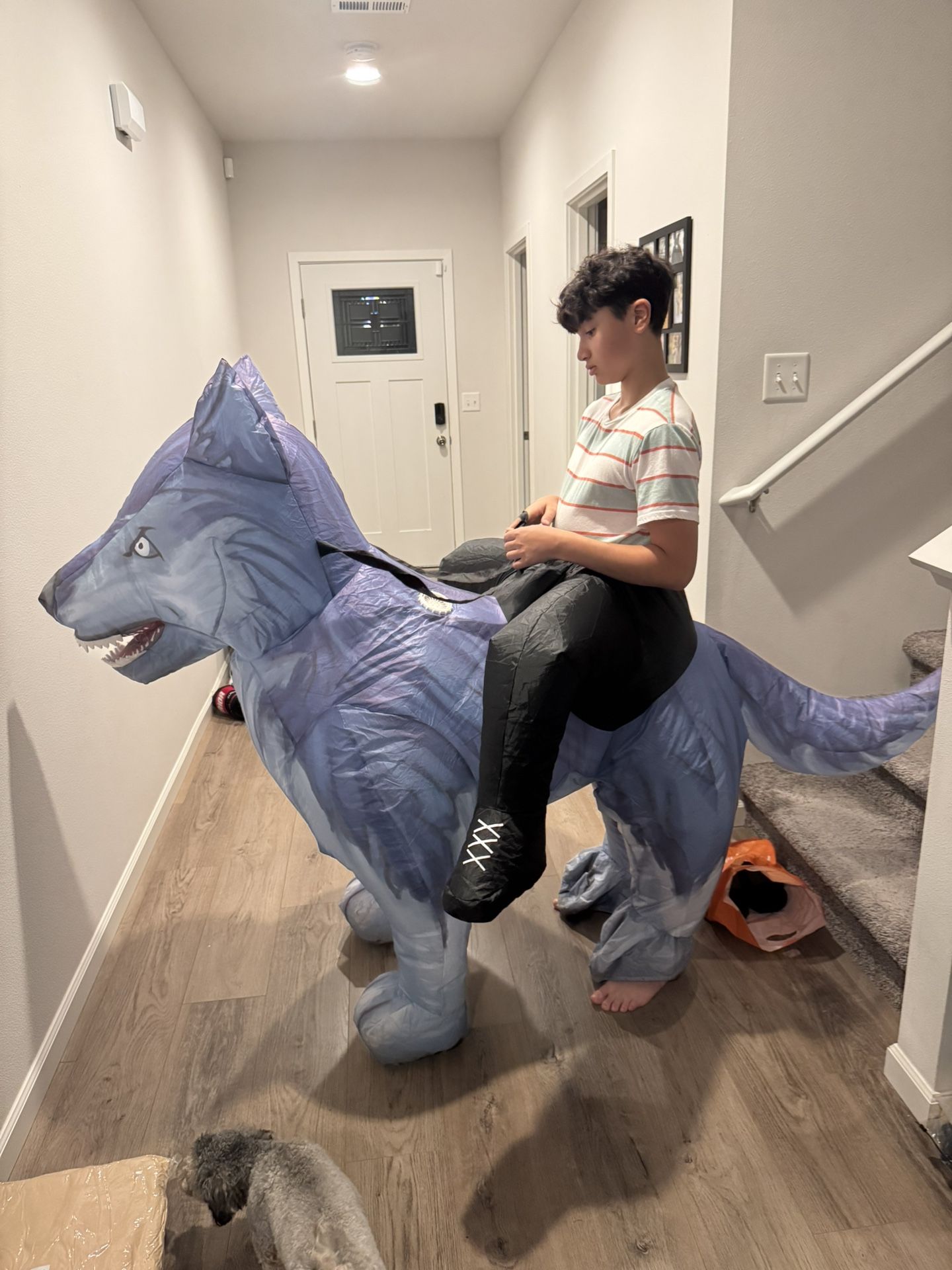 Halloween Costume, Blow-up Person Riding Wolf