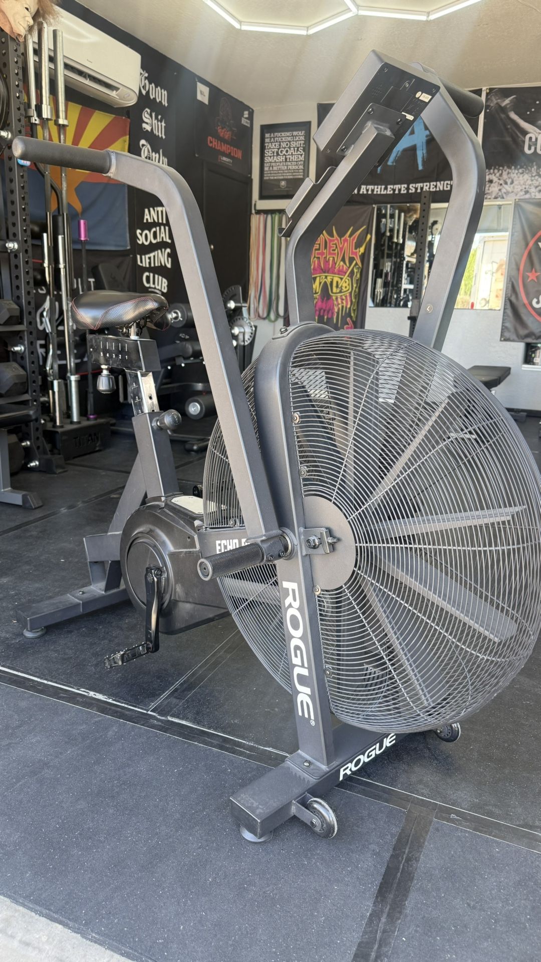 Rogue Echo Bike