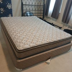 Queen Sized Mattress and Box Spring