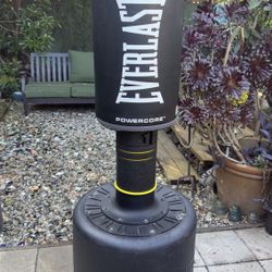 Everlast punching / boxing bag (water or sand fill)