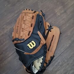 The Wilson Pro Select Baseball Glove A2476