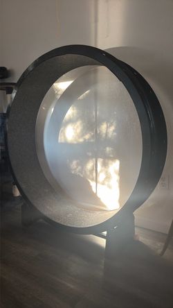 One fast cat 7th Gen Indoor cat exercise wheel