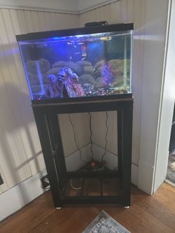 Fish tank