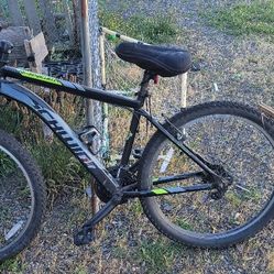 Mens Schwin Ranger Bike