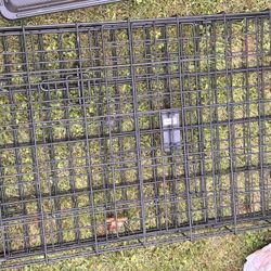 Dog Cage