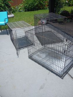 Medium kennels $20