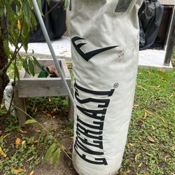 everlast punching bag + stand