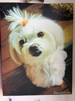 11 X 13 “ Acrylic OIL on Canvas “ MALTESE “ SELL CHEAP MOVING 👍🏼👍🏼  BEAUTIFUL 