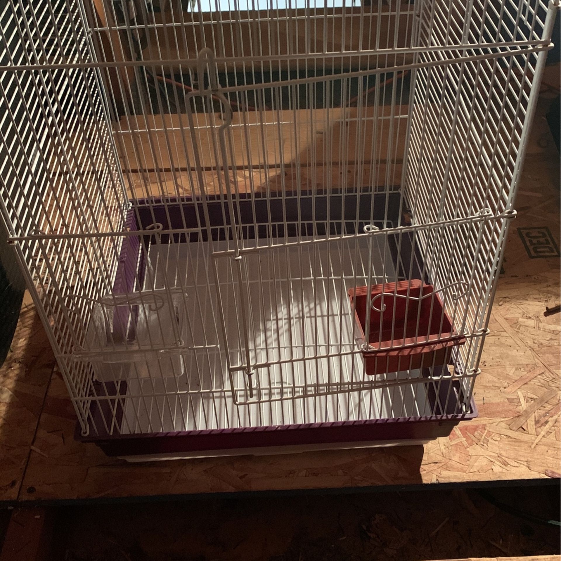 Bird Cage New