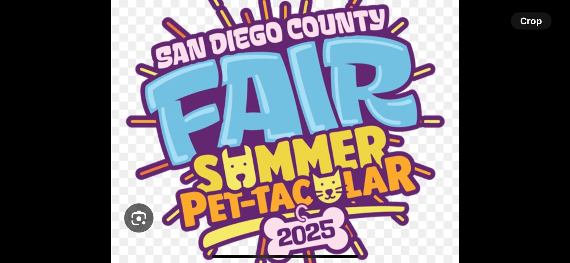 4 Tickets For The Delmar Fair 🎡 All 4 For 40 