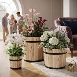 Plant Pot Set