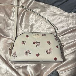 Coach Ladybug And Cherry Blossoms 