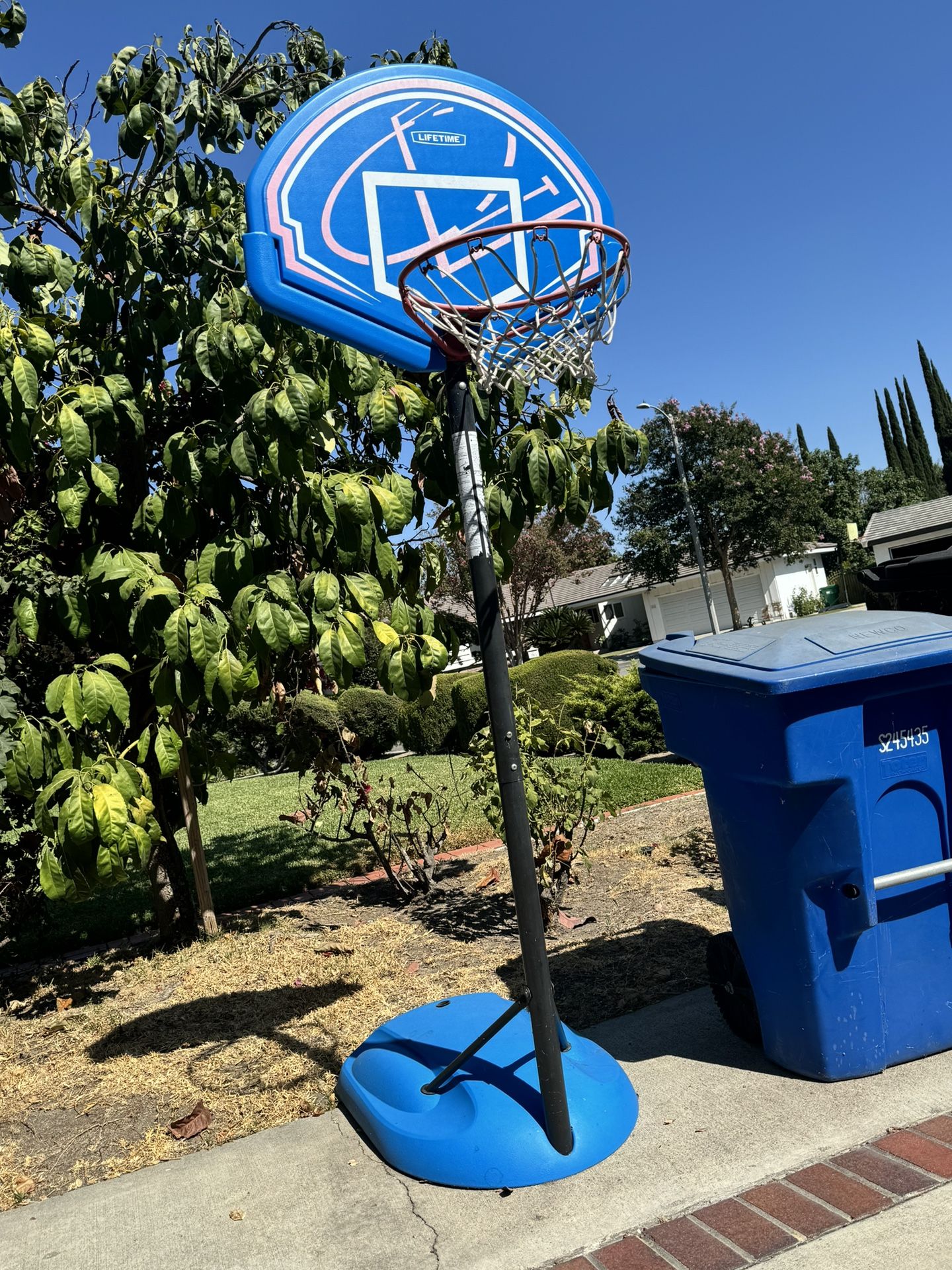 Children's basketball hoop