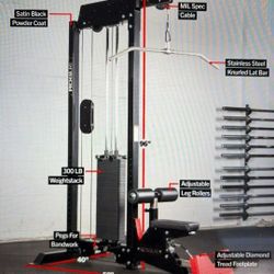Rogue Lat Pulldown / Low Row Machine
