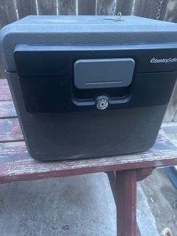 Sentry Safe