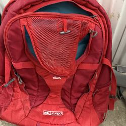 This is a Kurgo G-Train Carrier Backpack.  