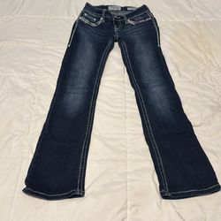 Daytrip jeans size 24 regular boot cut