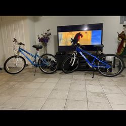 Giant Bike