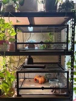 Reptile/Amphibian Enclosures
