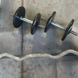 Curl bar, dumbell and weights