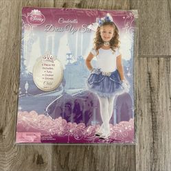 Cinderella Outfit 