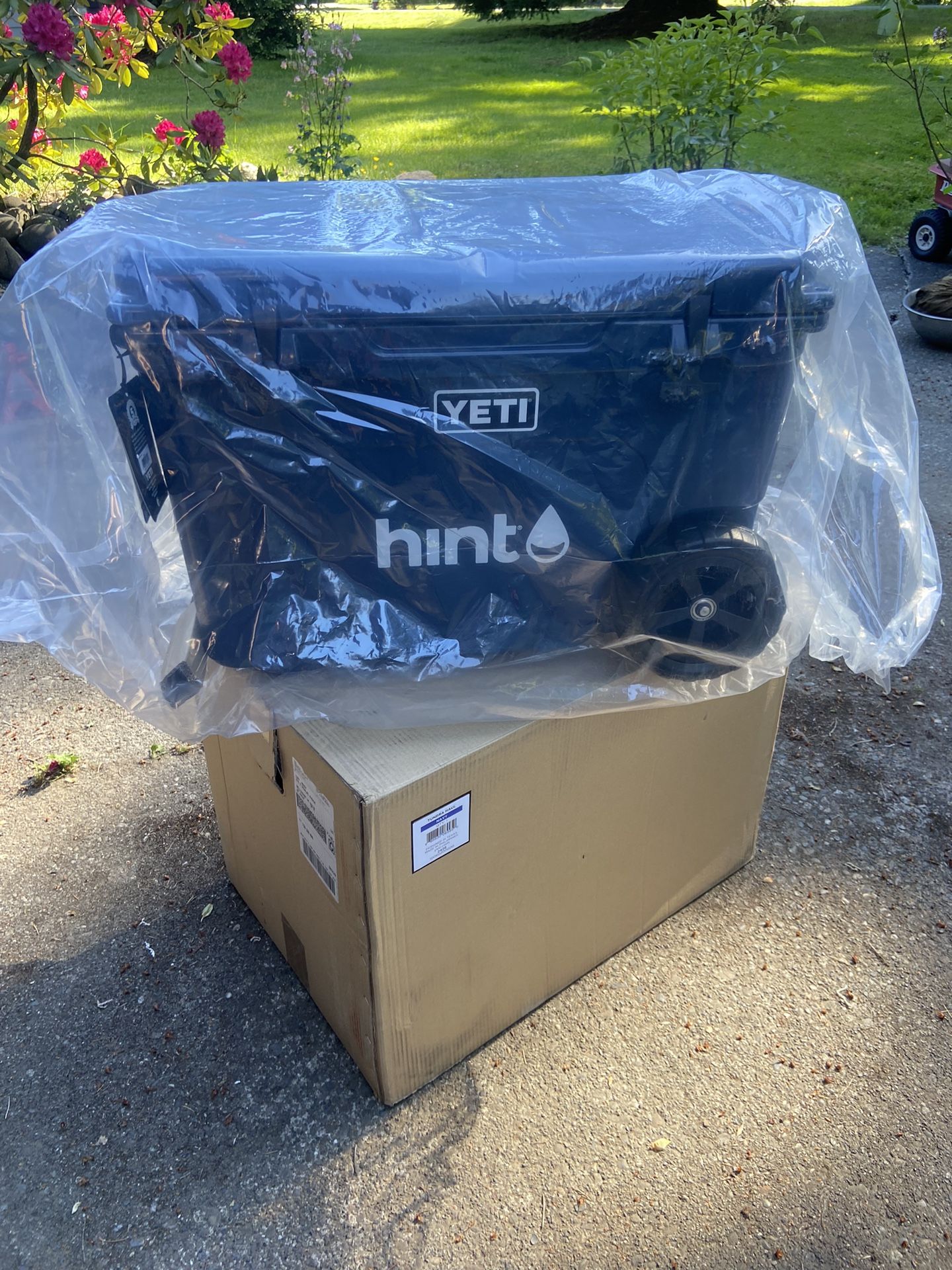 Yeti Cooler