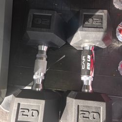 20 Lbs Dumbbells Set Pair