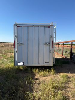 2025 Cargo trailer with ladder