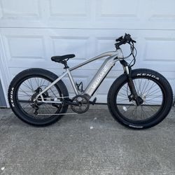 VeloWave Ranger Electric Bike