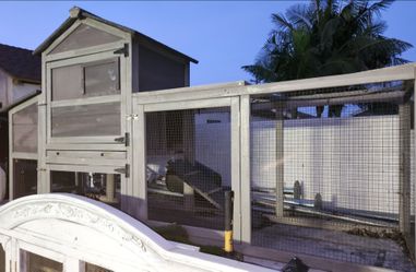 Chicken Coop