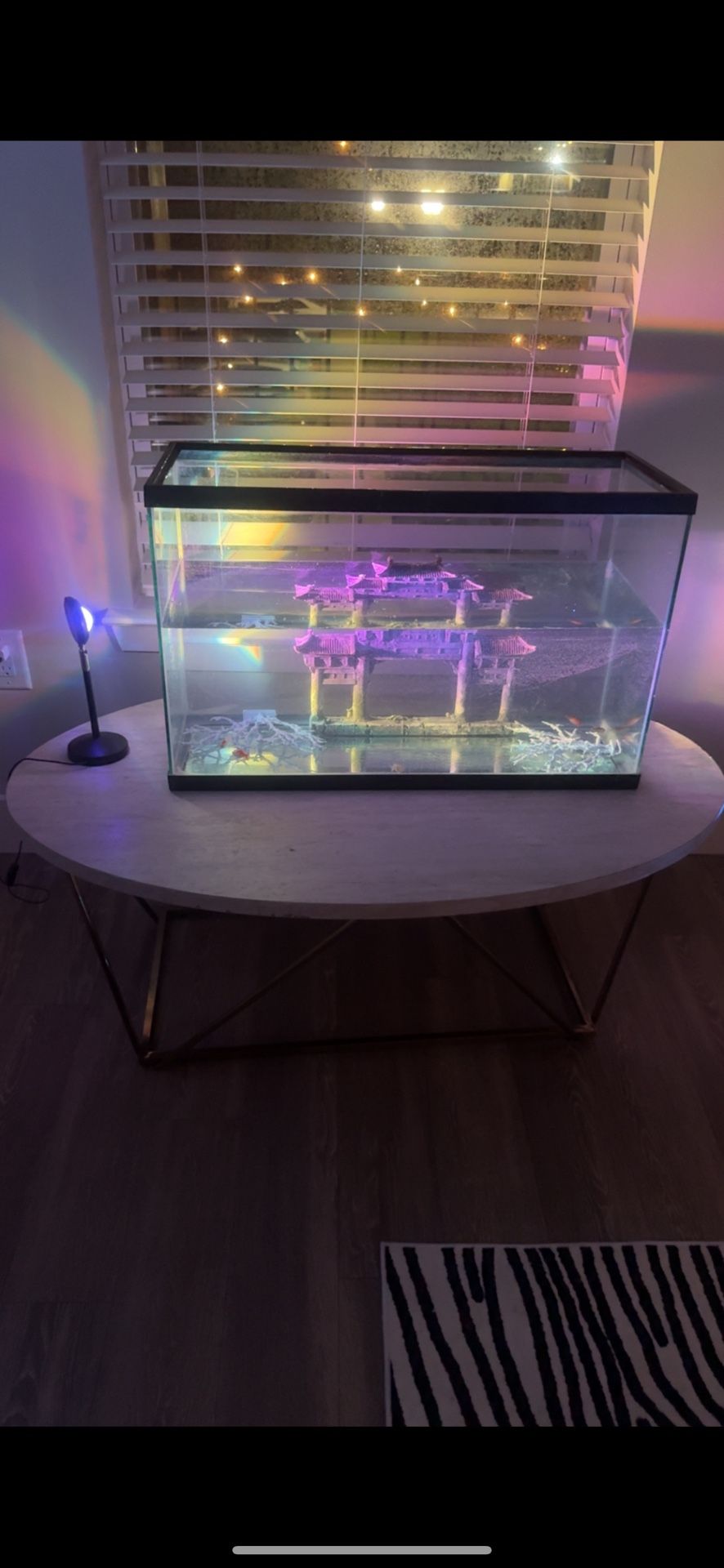 Fish tank And Table
