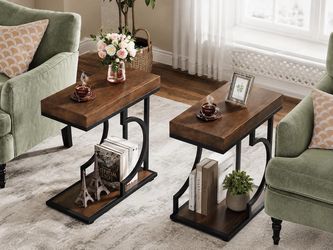 Set of 2 C Shaped End Table for Couch, Modern Bedside Tables with Metal Frame.