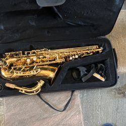 Alto Saxophone 🎷 